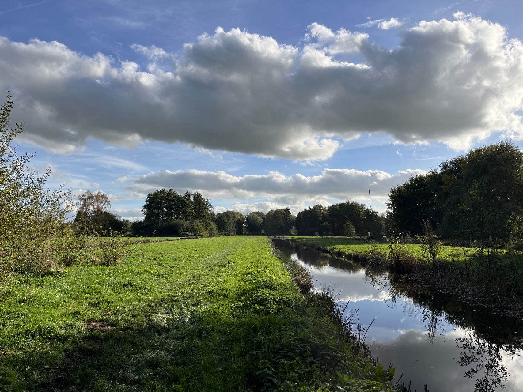 img 20251030 143853.jpg compressed